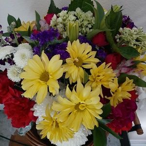 Meet your Posher, Lindsay